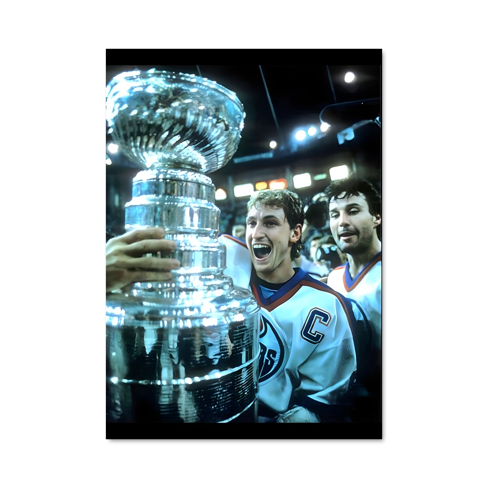 Poster La Joie des Stanleys